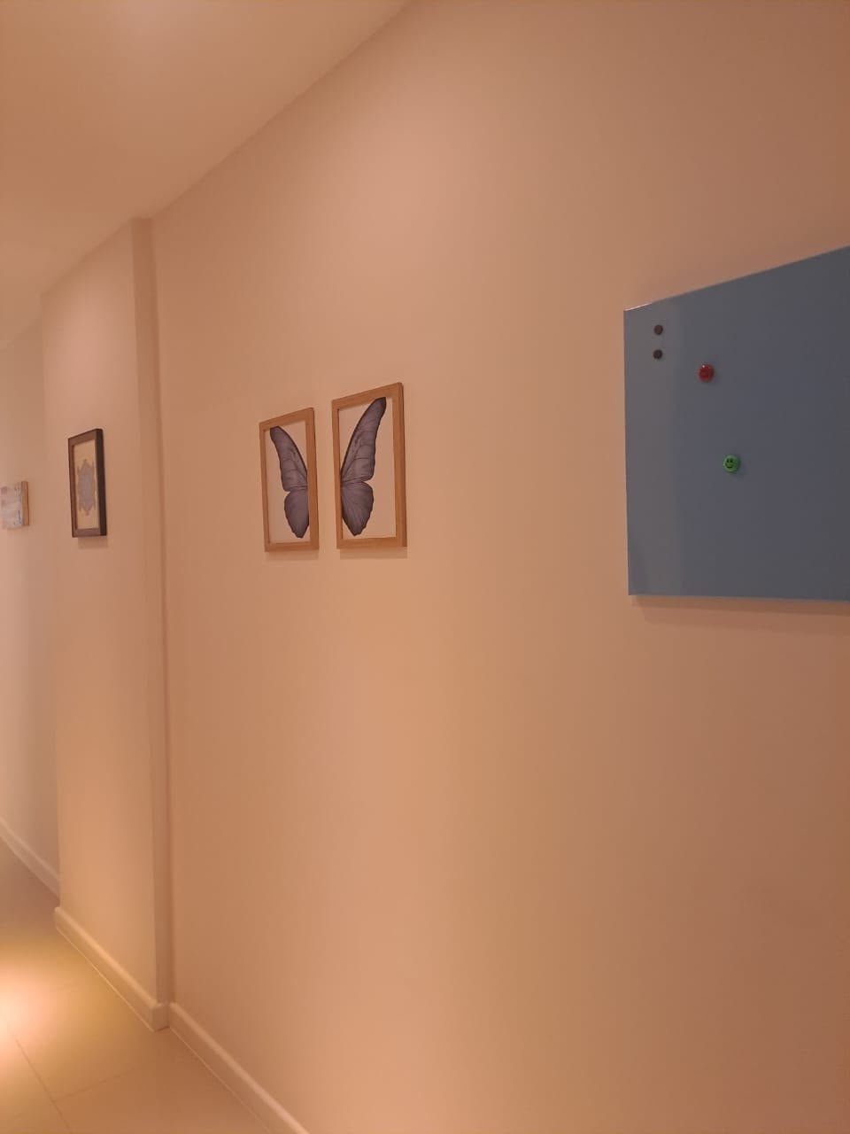 Corredor decorado com quadros de borboletas